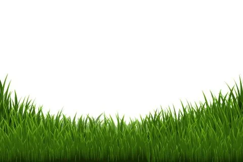 Grass Border Stock Illustration