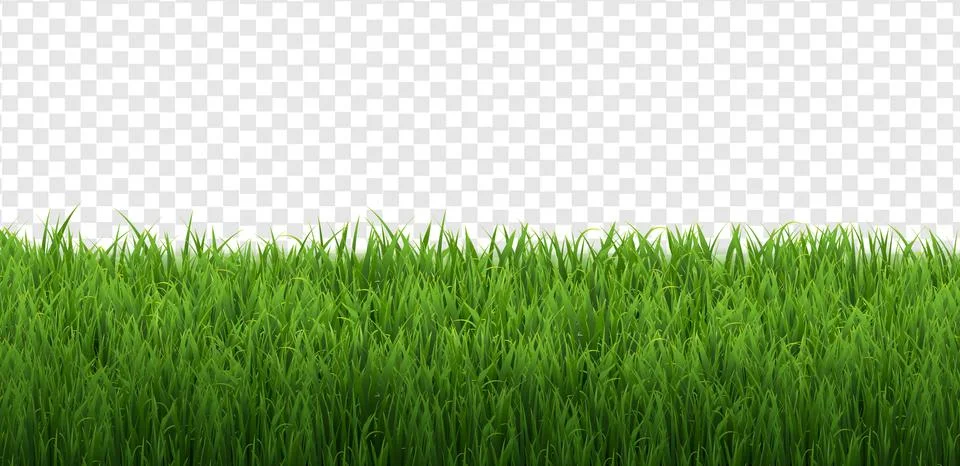 Grass Border Isolated Transparent Background Illustrazione stock