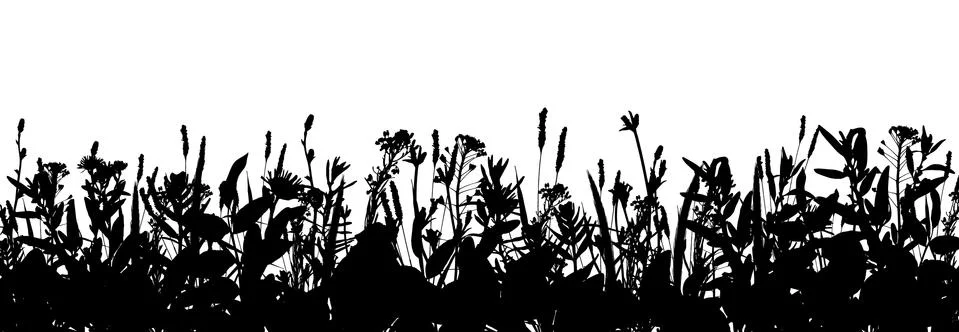 Grass border isolated on white background  vector Stock Illustration