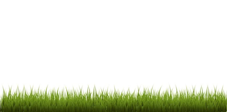Grass Border Isolated White Background Stock Illustration