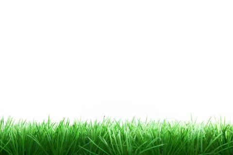 Grass border Stock Photos