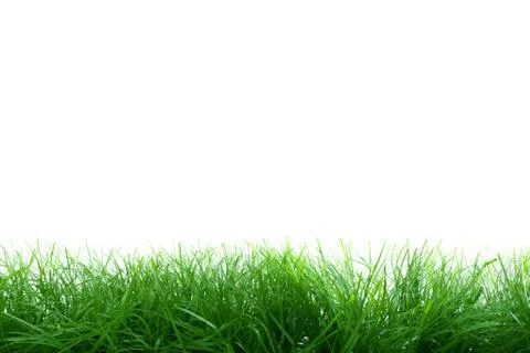 Grass border Stock Photos