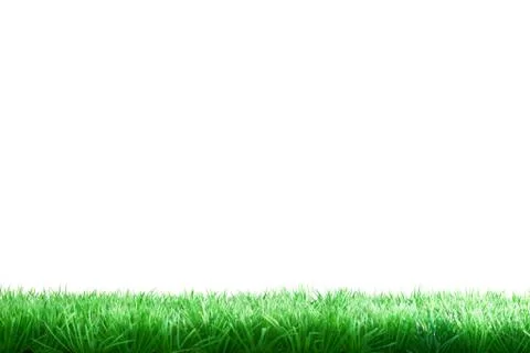 Grass border Stock Photos