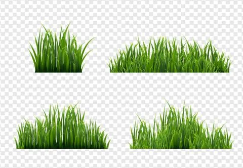 Grass Border With Transparent Background Stock Illustration