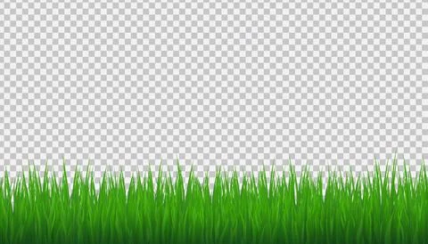 Grass Border Transparent background. Vector stock Illustration. Stock Illustration