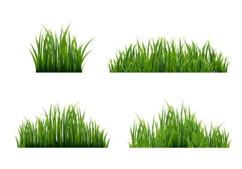 Grass Border With White Background Stock Illustration