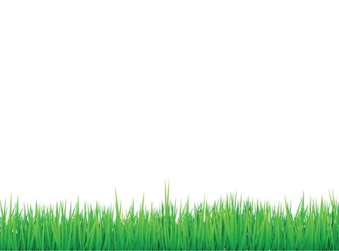 Grass borders background grass borders background, vector can be arranged ... 写真素材