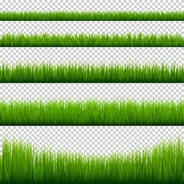 Grass borders collection. Green meadow nature background. Easter card design イラスト素材