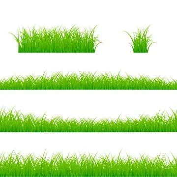 Grass Borders Set. Grass Plant Panorama. Vector illustration isolated on whit Stock Illustration