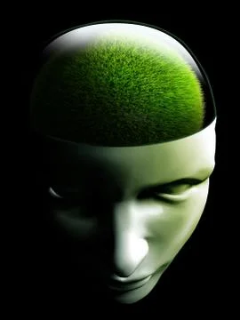 Grass brain in human head Stock Illustration