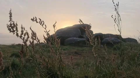 Grass in the breeze on carn brea hill Video stock 244037153