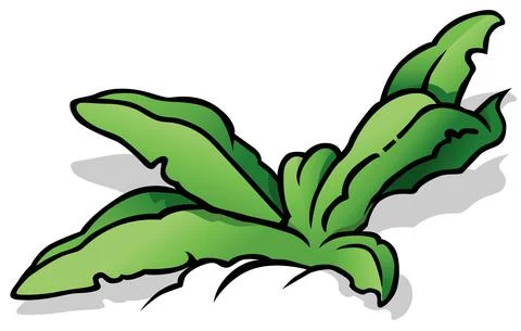 Grass with Broad Leaves Stock Illustration