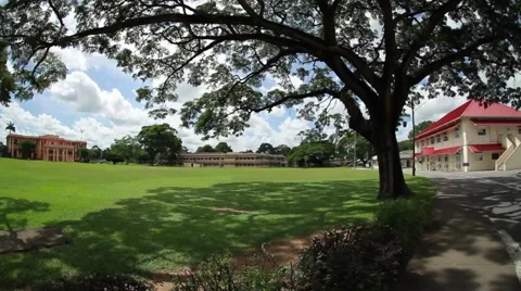 Grass Building Road Pan 스톡 동영상 62696063