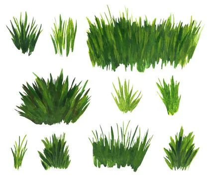 Grass bunch watercolor set. Green sedge stack Stock Illustration