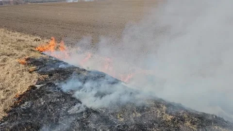 The Grass Is Burning and There Is Smoke Stock Footage 303803483