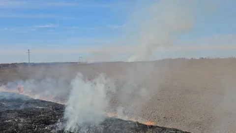 The Grass Is Burning and There Is Smoke Stock Footage 303803487
