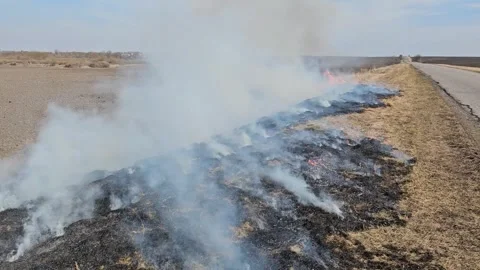 The Grass Is Burning and There Is Smoke Stock Footage 303803516
