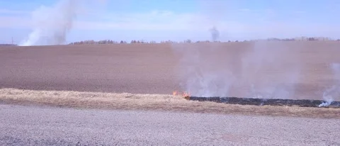 The Grass Is Burning and There Is Smoke Stock Footage 303803517