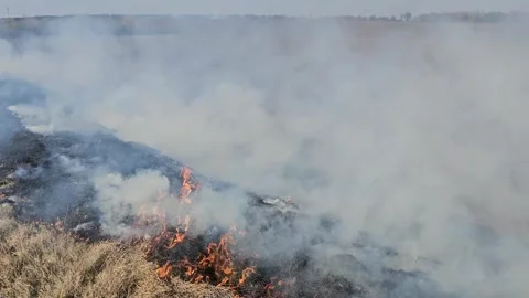 The Grass Is Burning and There Is Smoke Stock Footage 303803518