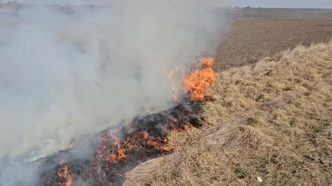 The Grass Is Burning and There Is Smoke Stock Footage 303803554