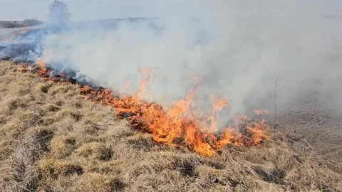 The Grass Is Burning and There Is Smoke Stock Footage 303803560