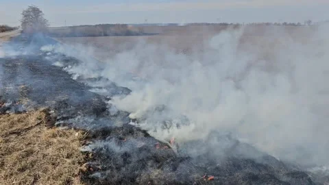 The Grass Is Burning and There Is Smoke Stock Footage 303803563