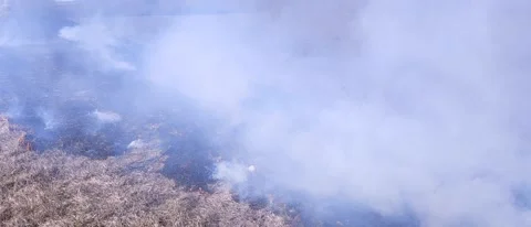 The Grass Is Burning and There Is Smoke Stock Footage 303803662
