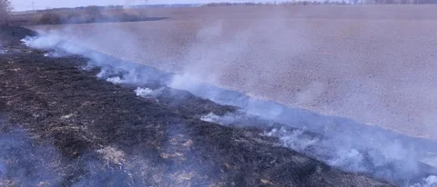 The Grass Is Burning and There Is Smoke Stock Footage 303803678