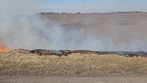 The Grass Is Burning and There Is Smoke Stock Footage 303803772