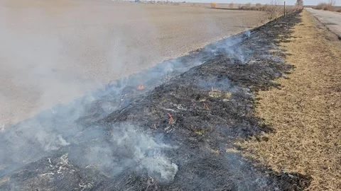 The Grass Is Burning and There Is Smoke Stock Footage 303803972