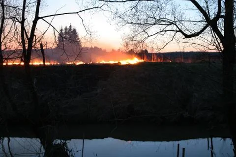 The grass burns Stock Photos
