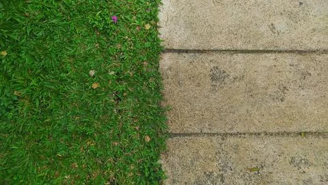 Grass with cement texture for background design Stock Photos