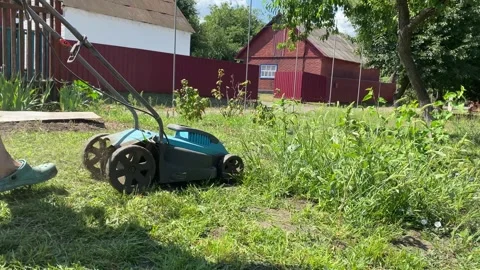 Grass Clippings Ejecting from Blue Lawn Mower Stock Footage 314162580