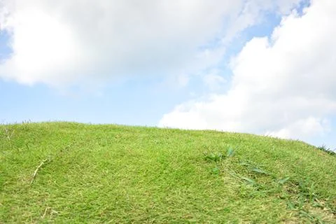 Grass close up view Stock Photos