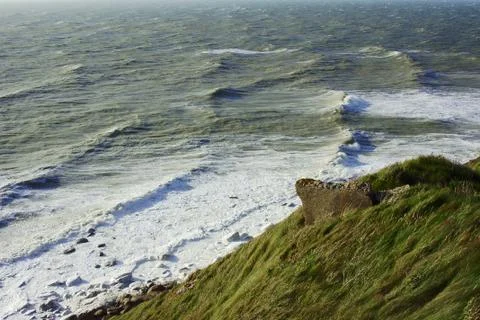 The grass on the coast Stock Photos
