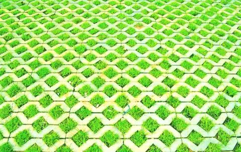 Grass in concrete Stock Photos