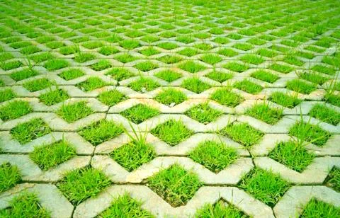 Grass in concrete Stock Photos