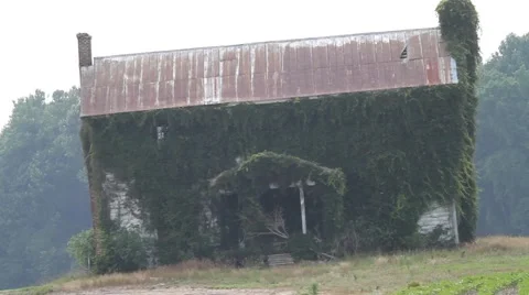 Grass Covered Abandoned Home Stock Footage 47463018