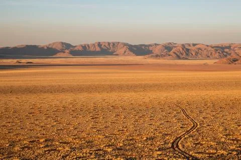 Grass covered desert plain at the edge of the Namib Desert Fairy Circles Stock Photos