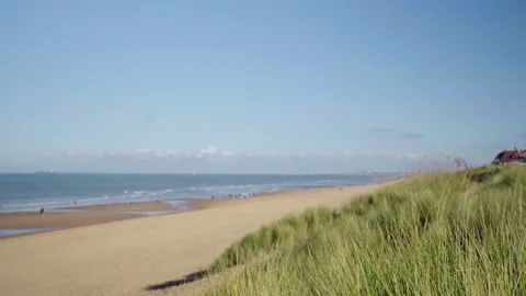 Grass covered dune on sunny beach in Knokke Belgium Video stock 329669736