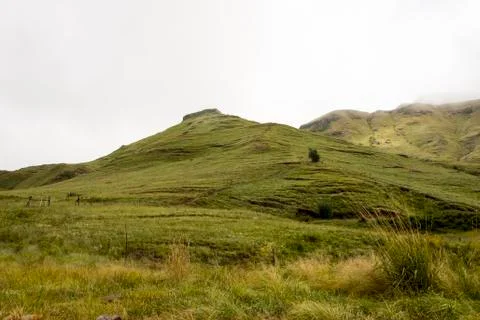 Grass Covered Field at Base of Mountains Stock Photos