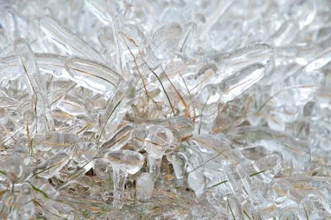 Grass covered in ice Stock Photos