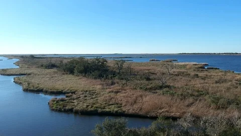 Grass covered island deep in the bayou with barren trees and clear blue sky Stock Footage 101402314