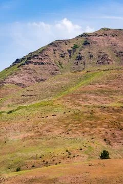 Grass Covered Mountains at Hells Canyon National Recreation Area Foto stock