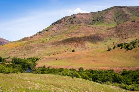 Grass Covered Mountains at Hells Canyon National Recreation Area Foto stock