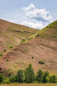 Grass Covered Mountains at Hells Canyon National Recreation Area 写真素材