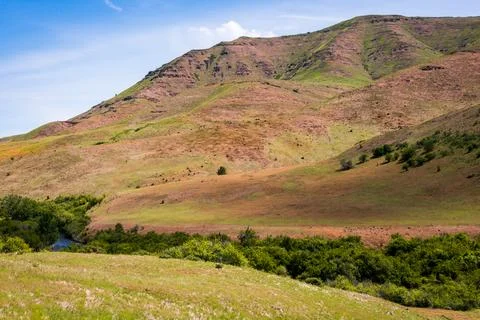 Grass Covered Mountains at Hells Canyon National Recreation Area Foto stock