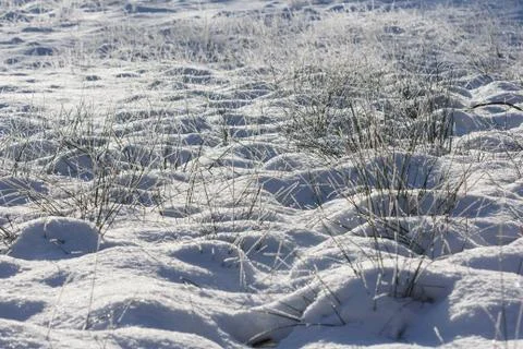 Grass covered in snow Stock Photos