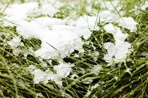 Grass covered with snow Stock Photos