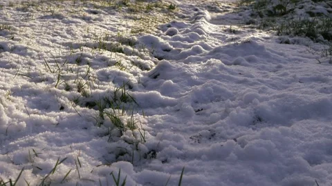 Grass covered in snow in winter time Stock Footage 151401854